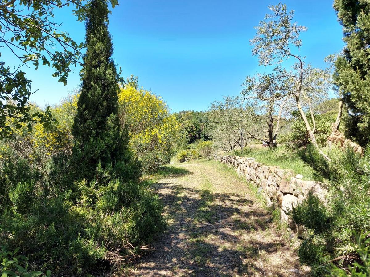 E Maneggio Poggio Leone Farm stay *